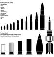 Ammunition vector image