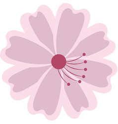 Pink blossoms Royalty Free Vector Image - VectorStock