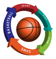 Basketball vector image