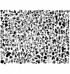 Set of plant silhouettes vector image