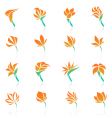 Tropical flowers elements for design vector image