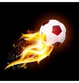 Football Ball With Fire vector image
