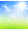 Summer or spring background vector image