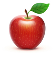 Red apple Red apple vector image