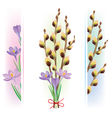 Easter symbols crocuses and pussy willow vector image