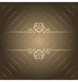 Brown luxury background vector image