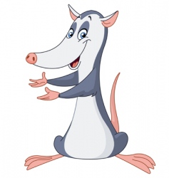 Opossum vector image