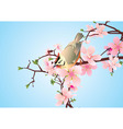 Bird on the blossoming cherry detailed vector vector image