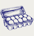 Eggs in a carton package vector image