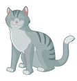 Cartoon smiling cat vector image