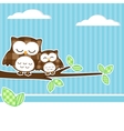 Owls on branch vector image
