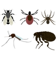 Insects vector image