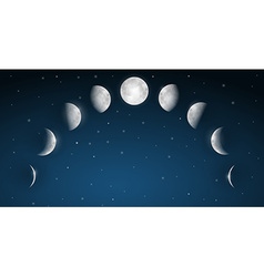 Moon Phases vector image