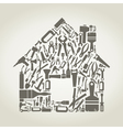 Tool the house vector image