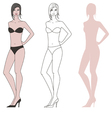 Women figure vector image