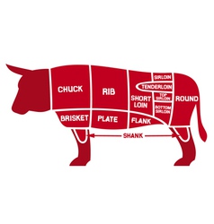 Beef cuts chart vector image
