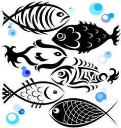 Fish vector image