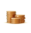 Golden coins vector image