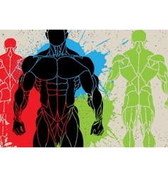 Strong man vector image