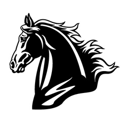 Horse head black and white vector image