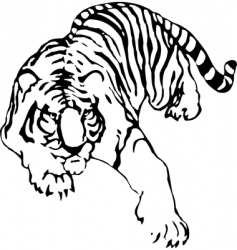 Tiger Tiger vector image