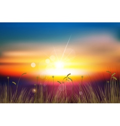 Sunset vector image