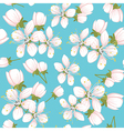 Seamless pattern with cherry blossoms vector image