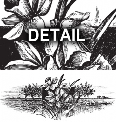 Antique landscape engraving vector image