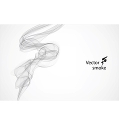 Smoke background vector image