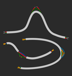 Broken wires that conduct electricity isolated Vector Image