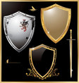Shield - set vector image