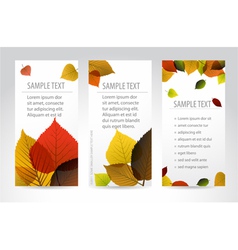 Autumn banners vector image