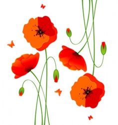 Poppy background vector image