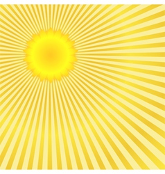 Sunburst vector image
