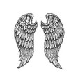 Dotwork angel wings vector image