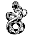 Snake attacke vector image