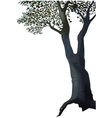 Tree vector image