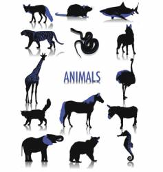 Animals silhouettes vector image