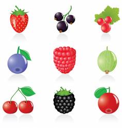 Berry icons vector image