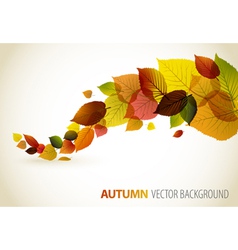 Autumn abstract floral vector image