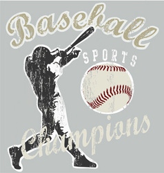 Baseball champions vector image