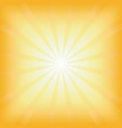 Square summer sun light burst vector image