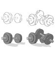 Dumbbells vector image