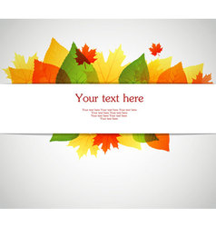 Back autumn leafs vector image