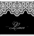 White lace on black vector image