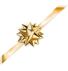 Beautiful shiny bow vector image