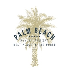 Palm beach logo template vector image
