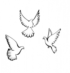 Three dove vector image