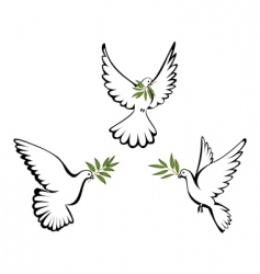 Peace dove vector image