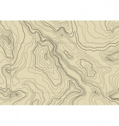 Topographic map vector image